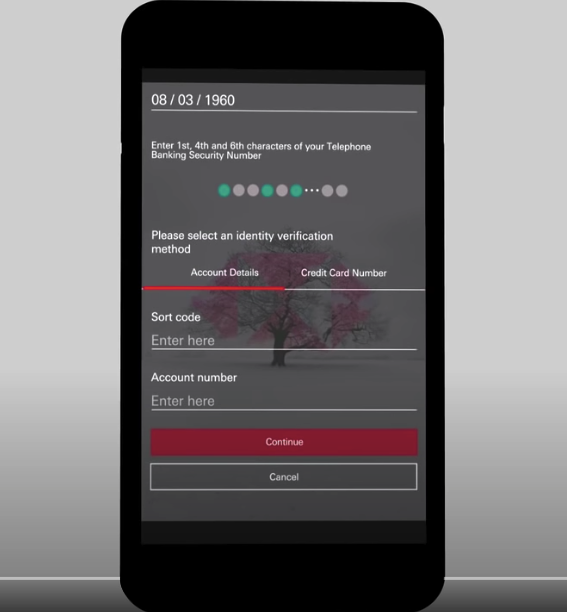 Ejemplo de entrada de contraseña de HSBC