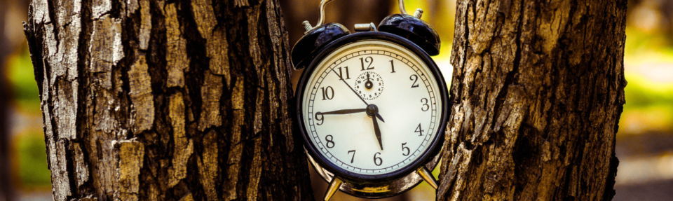 Cómo proporcionar el mejor servicio de atención al cliente en tiempo real en 2025