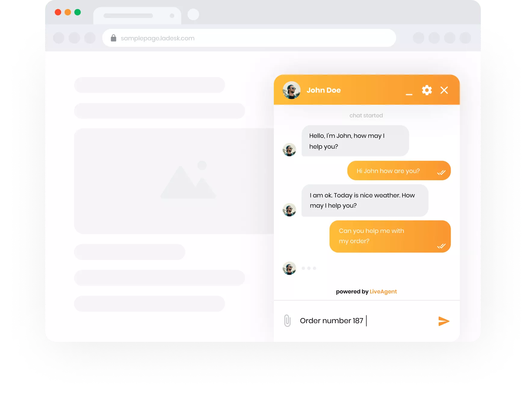 Vista de chat en vivo de LiveAgent