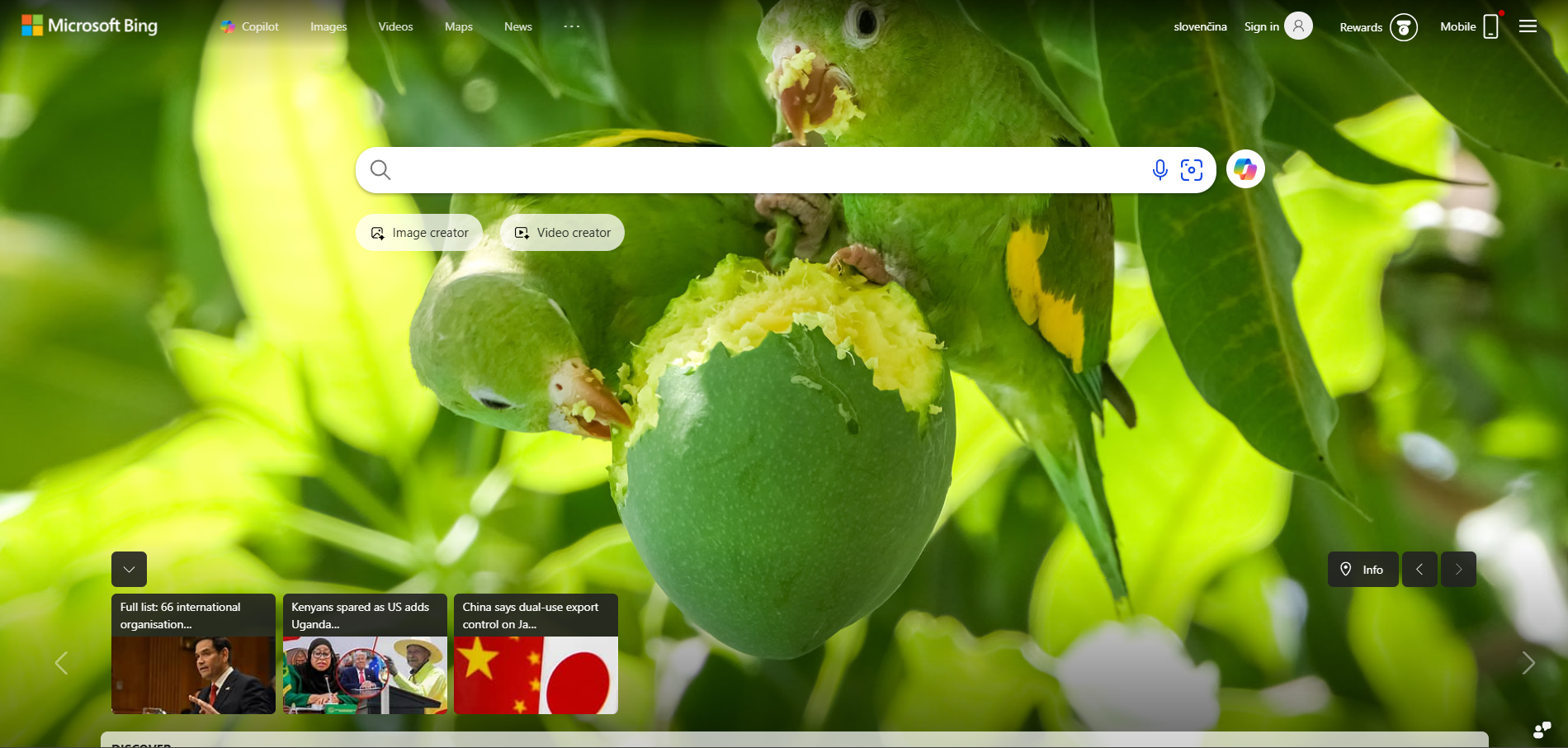 Contactos del Centro de Ayuda de Bing