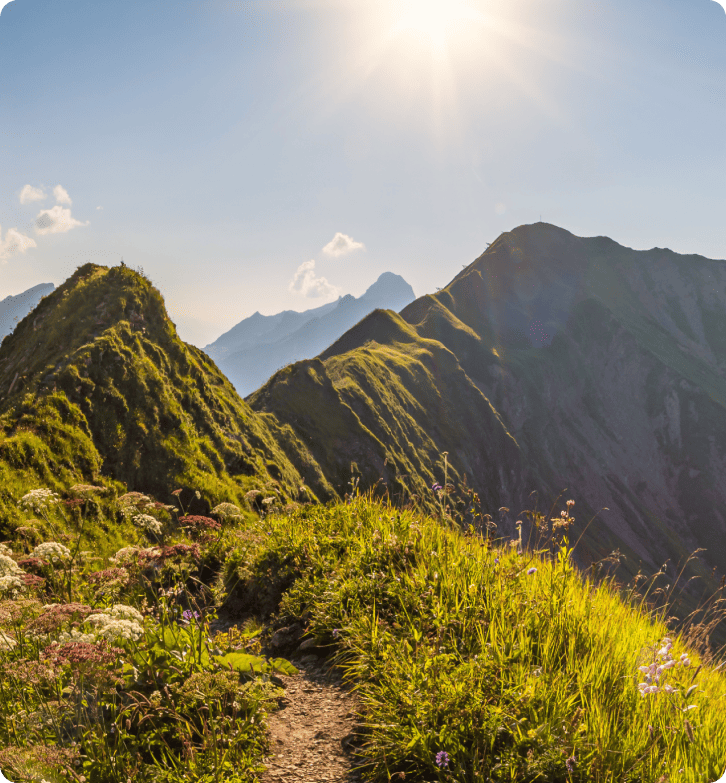 Cómo ZlavaDna mejoró el servicio al cliente con LiveAgent