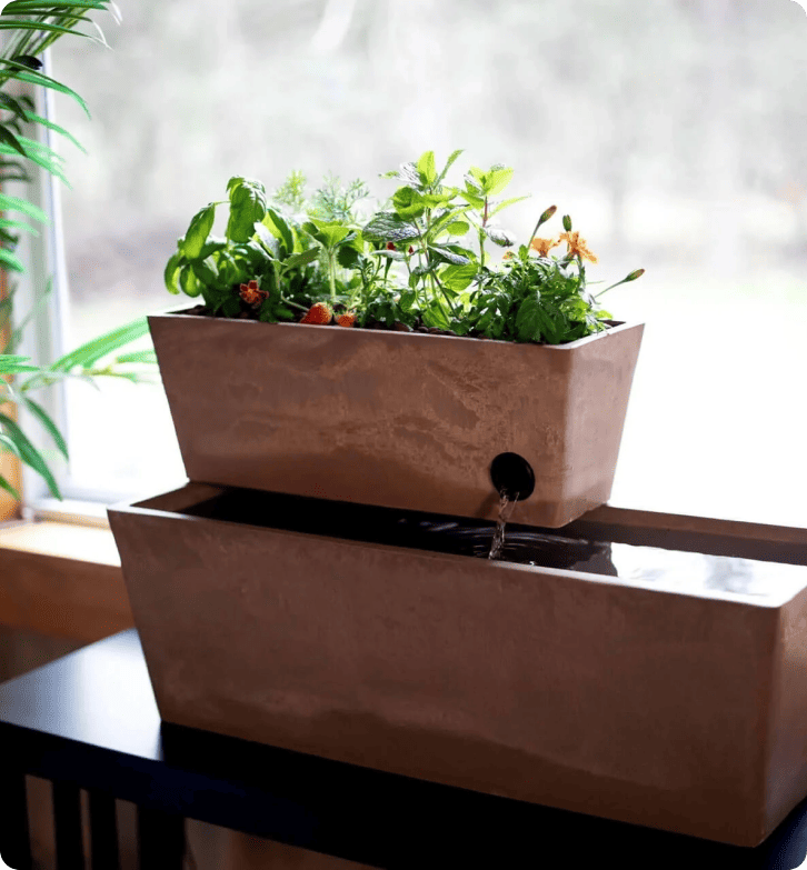 Cómo AquaSprouts logra una tasa de satisfacción del cliente del 96,5% con LiveAgent